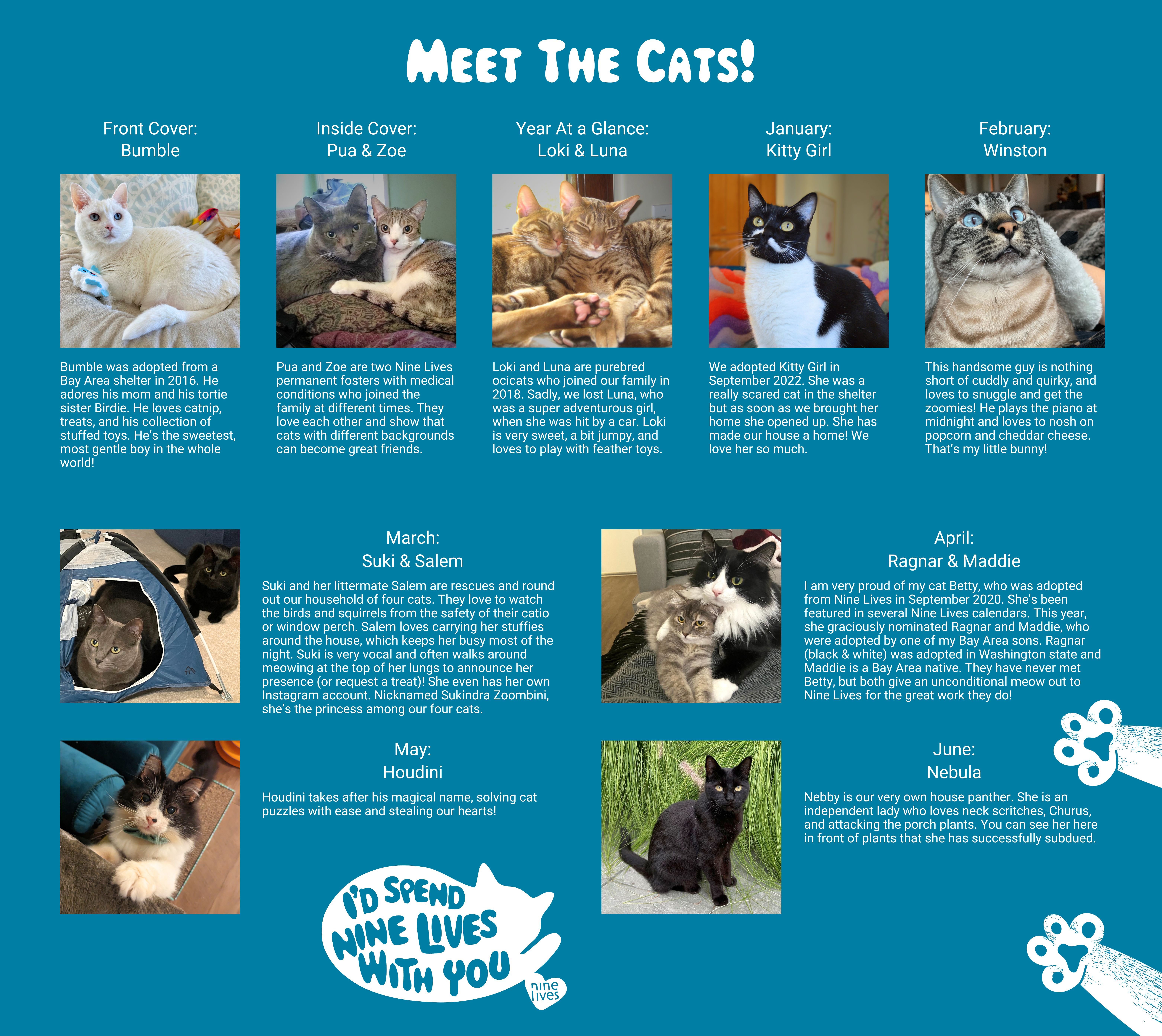 meet the cats